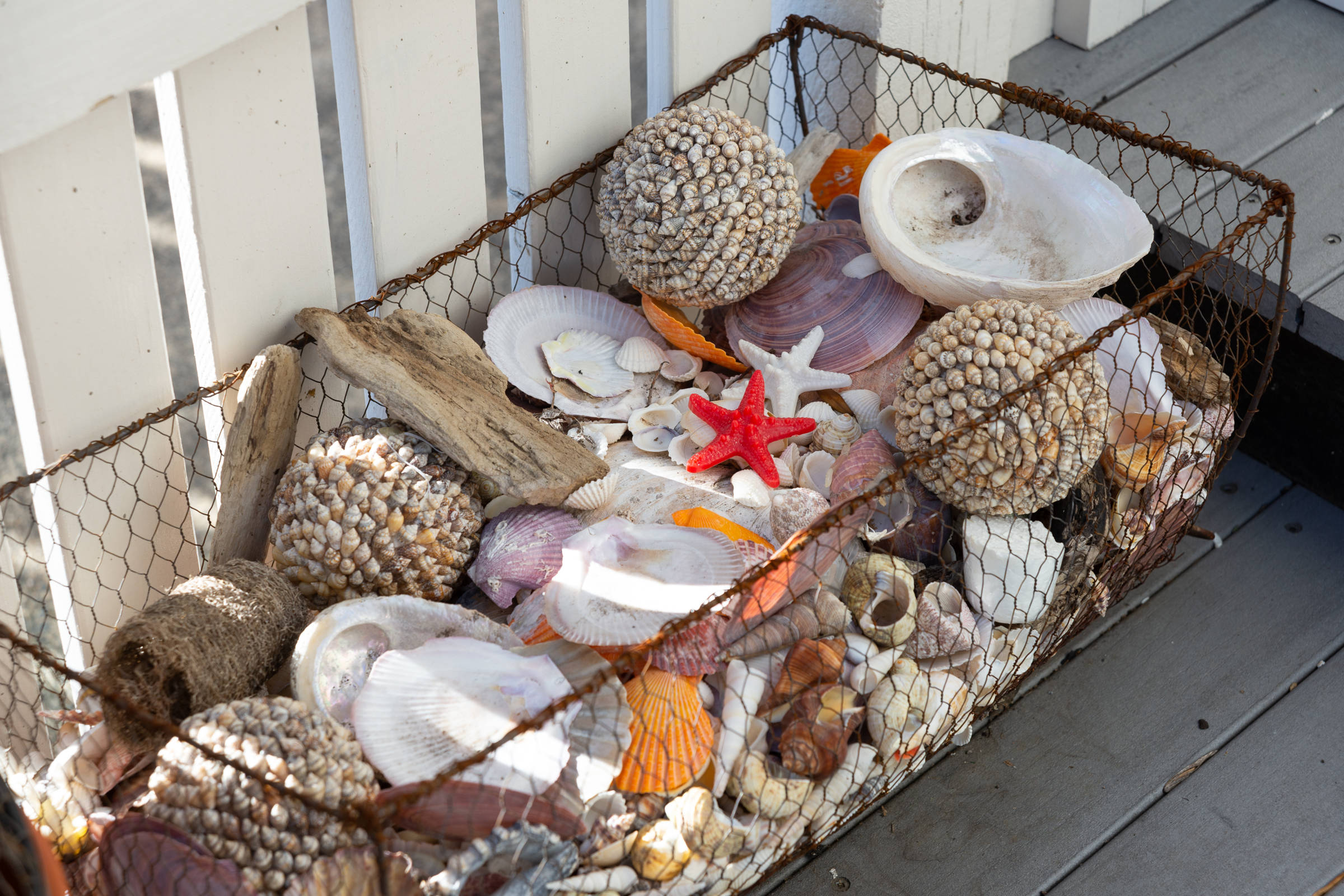 Front porch with basket of shells. Photo: Oliver Berlin.