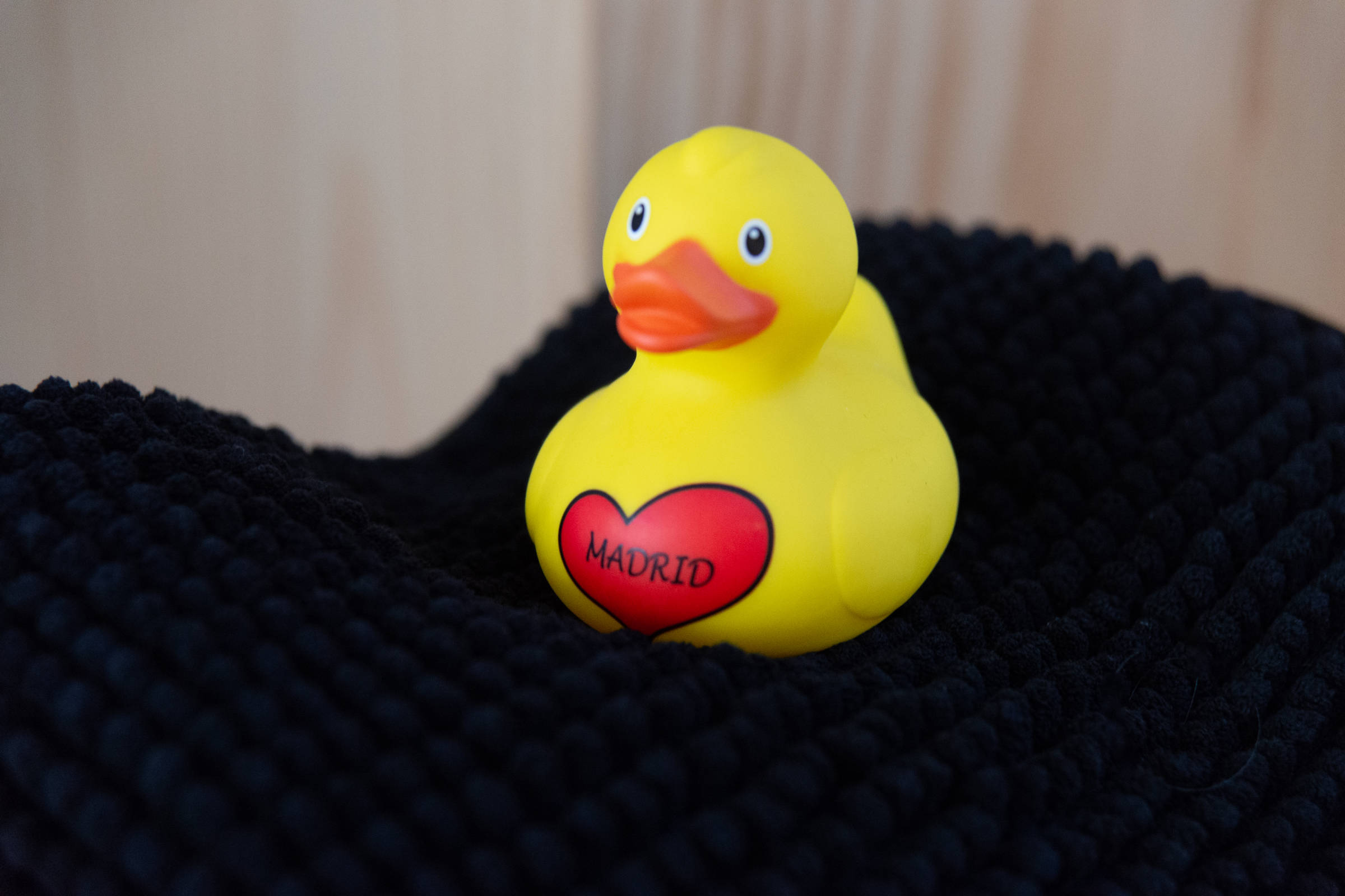 Close up of towel with yellow toy duck. Photo: Oliver Berlin.